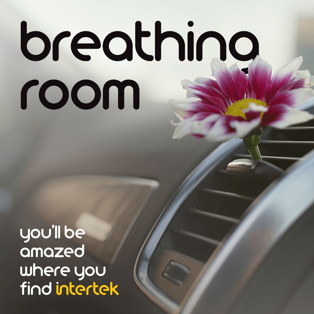 Small flower attached to an air vent in a car dashboard