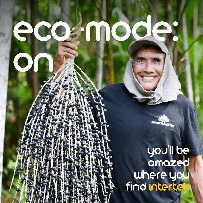 A man wearing a Sambazon t-shirt holding up a a fresh acai plant